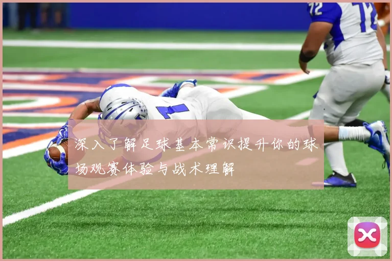 深入了解足球基本常识提升你的球场观赛体验与战术理解
