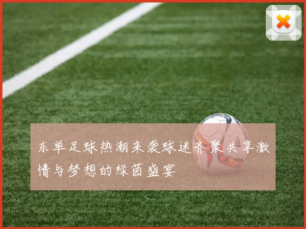 东单足球热潮来袭球迷齐聚共享激情与梦想的绿茵盛宴