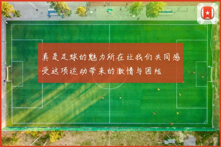 真是足球的魅力所在让我们共同感受这项运动带来的激情与团结