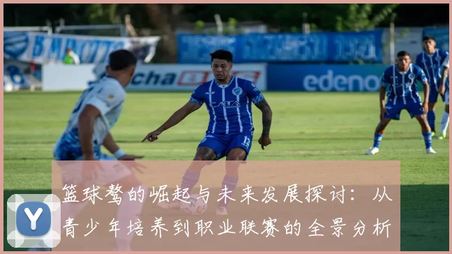 篮球骜的崛起与未来发展探讨：从青少年培养到职业联赛的全景分析