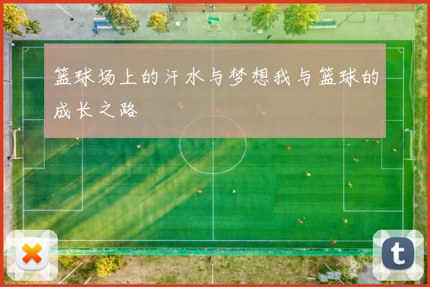 篮球场上的汗水与梦想我与篮球的成长之路