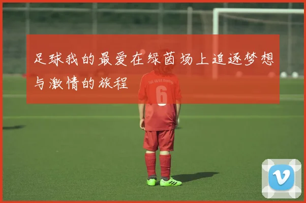 足球我的最爱在绿茵场上追逐梦想与激情的旅程
