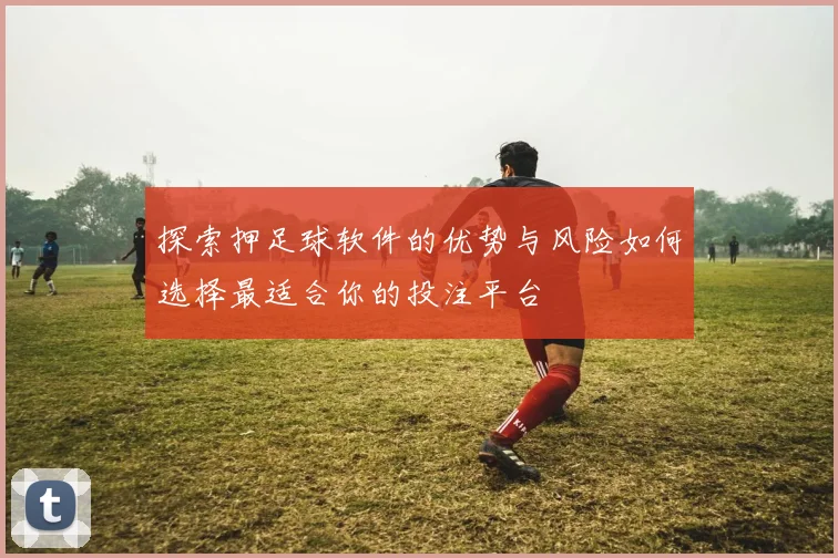 探索押足球软件的优势与风险如何选择最适合你的投注平台