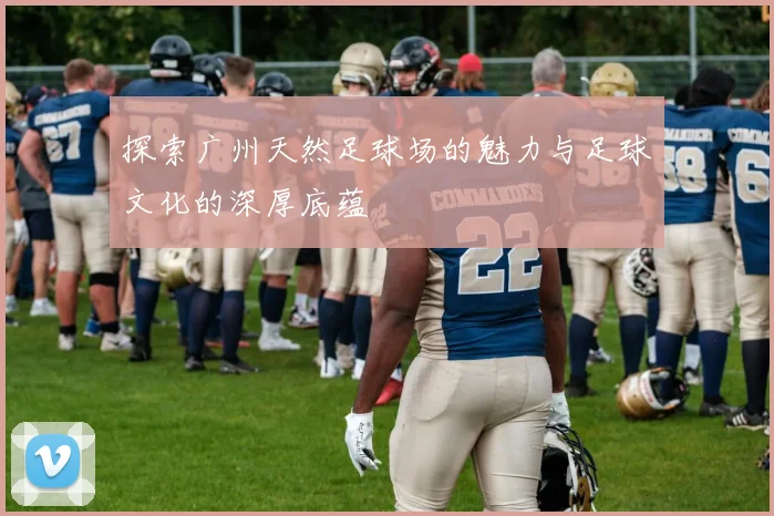 探索广州天然足球场的魅力与足球文化的深厚底蕴